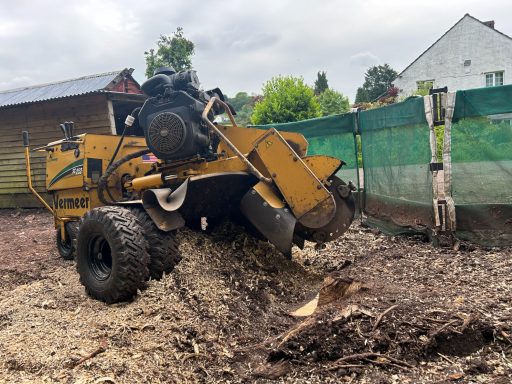 stump removal