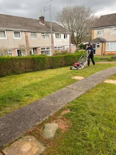 grass cutting