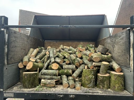 logs for sale