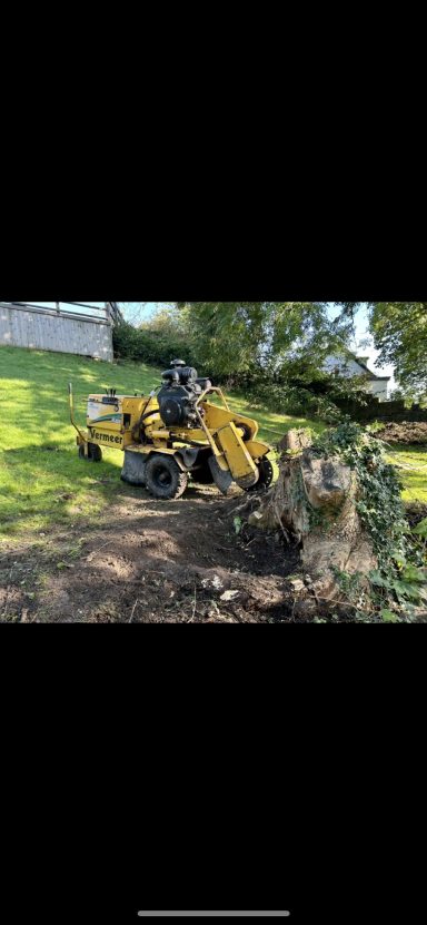 stump removal