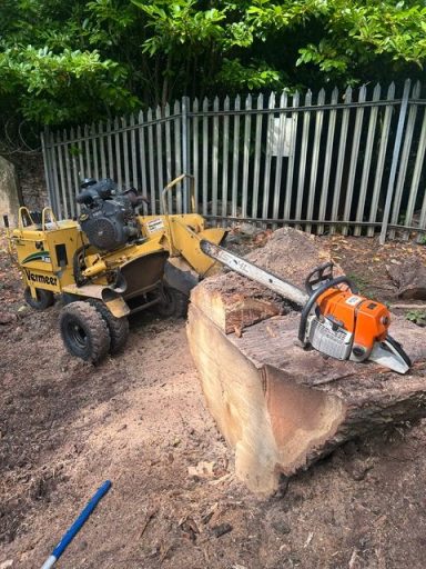 stump removal