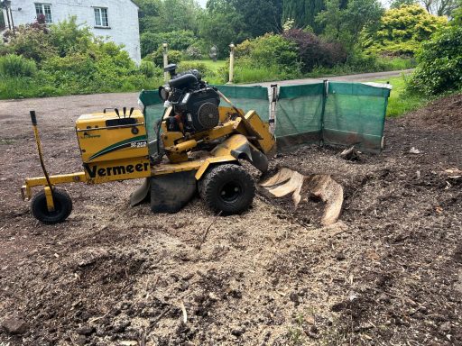 stump removal