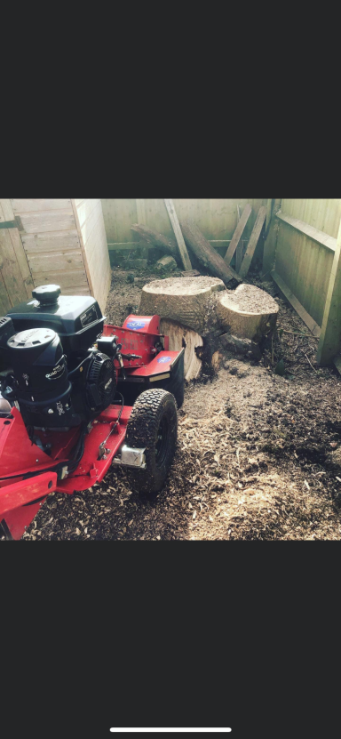 stump removal